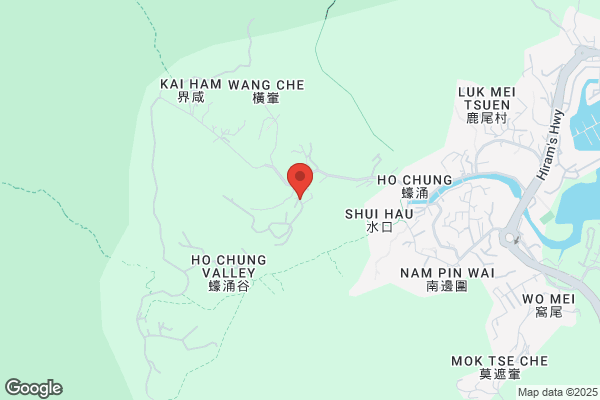 Shing Fung USA Inc