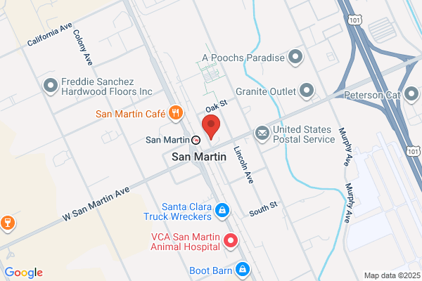 San Martin Drive In Market