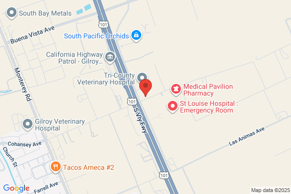 Valley Animal Hospital