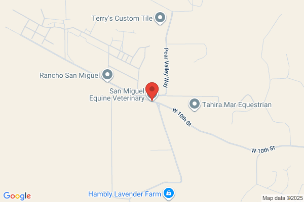San Miguel Equine Veterinary Services