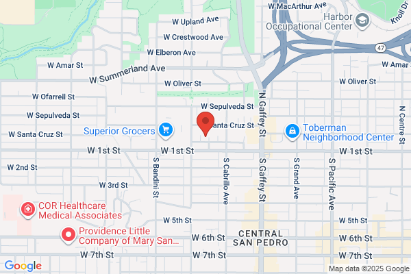 All Garage Door Repair San Pedro