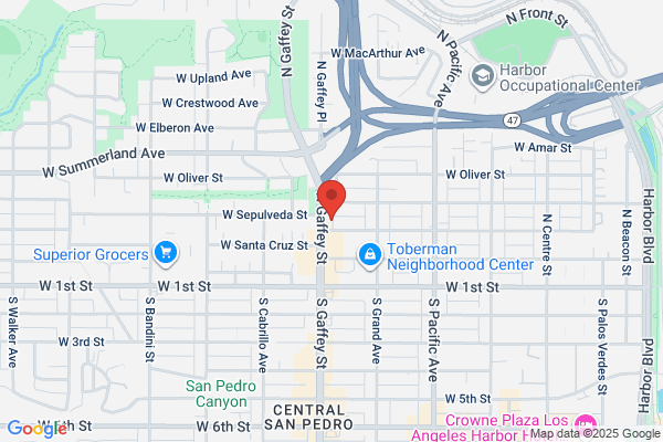 Psychic Fortune Teller & Wellness Center