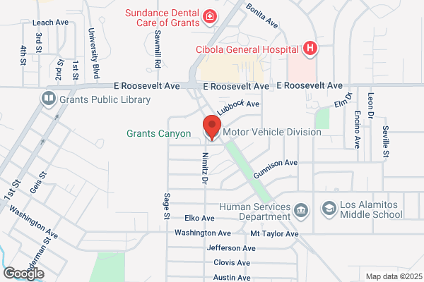 New Mexico State Government, Motor Vehicle Division
