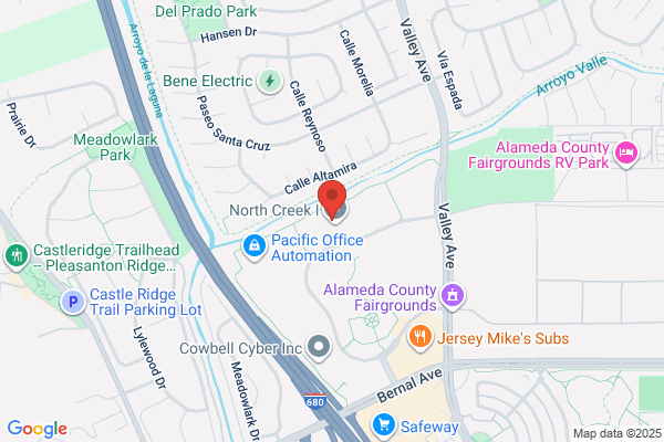 Pleasanton Electric