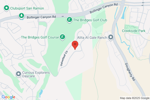 ServiceDesk - Bay Area IT Services