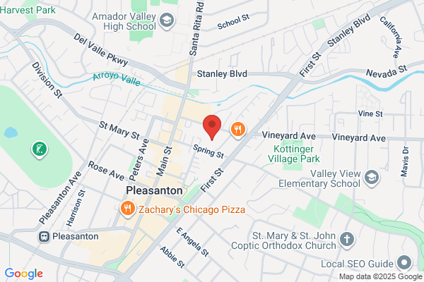 Viviana Cherman - Bay Area Realtor