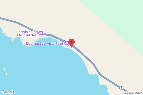 Friends of the Elephant Seal