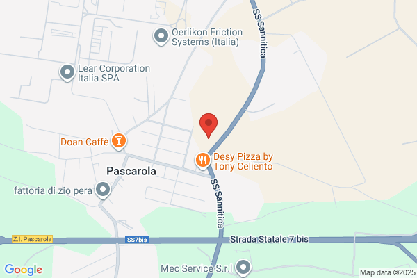 Pezzulo's