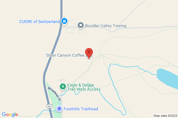 Canyon Silver Co