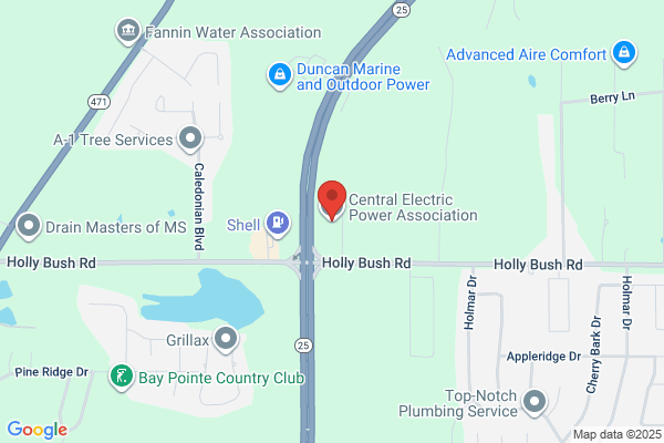 Central Electric Power Association