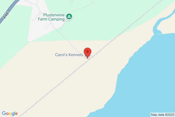 Carol's Kennel