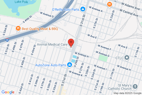 Animal Medical Care