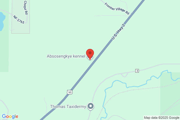 Absosengkye Kennel