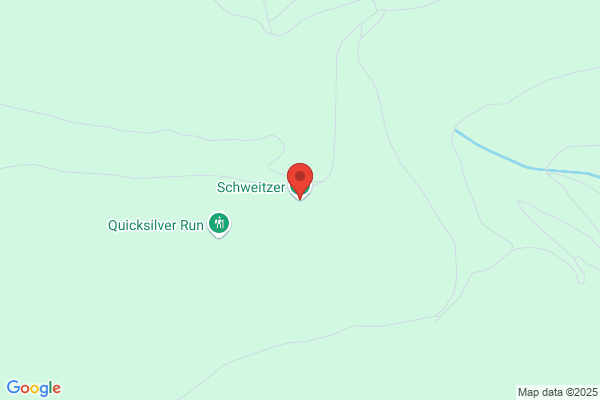 Schweitzer Alpine Racing