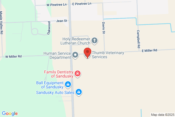 Thumb Veterinary Services