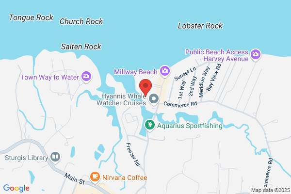 Acunzo Mary PHD