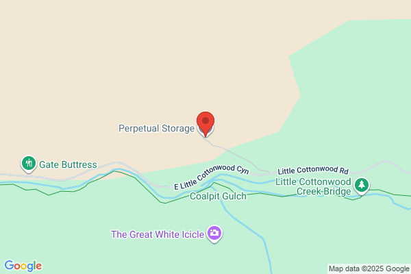 perpetual storage, inc.