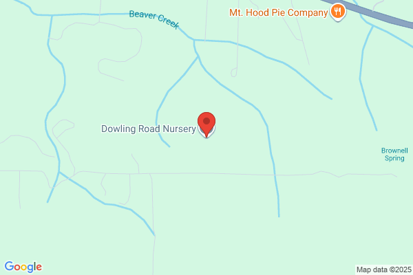 Dowling Road Nursery