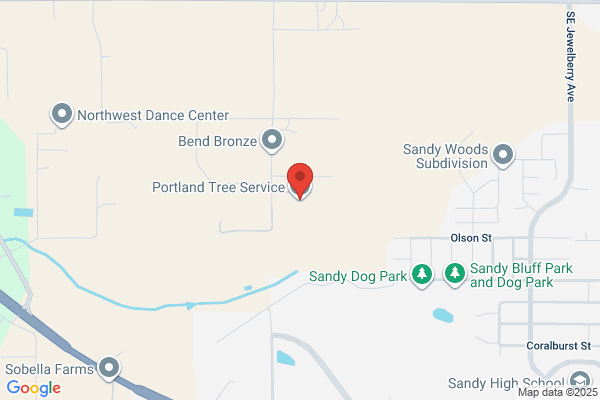 Portland Tree Service