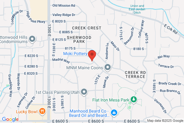 Wasatch Plumbing & Heating
