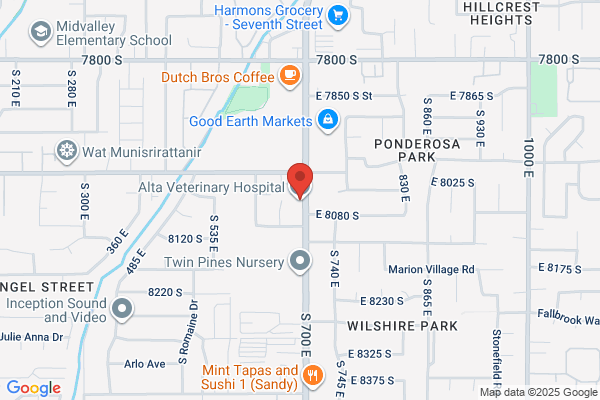 Alta Veterinary Hospital