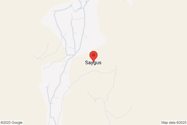 Saygus