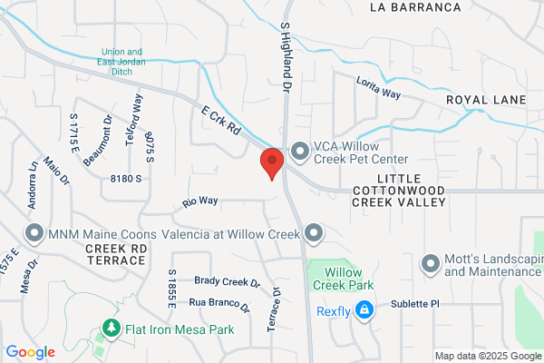 Willow Creek Chiropractic