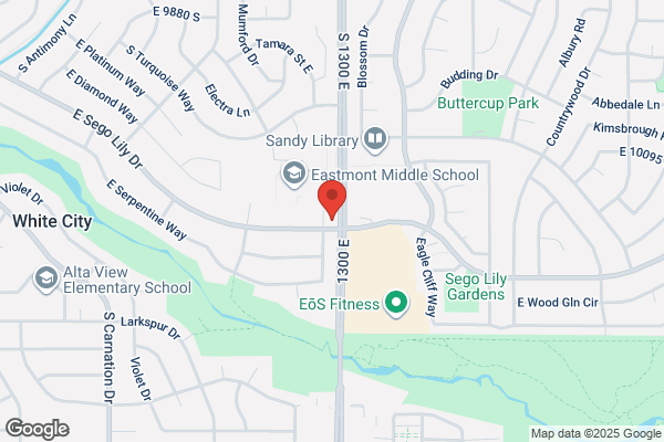 Alta View Orthodontics