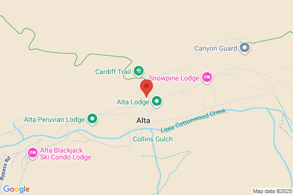 Alta Community Enrichment