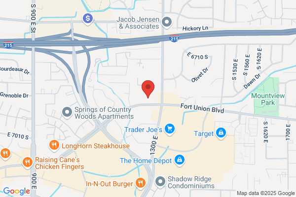 Flavio Orlandini | Homenet Real Estate, Inc.