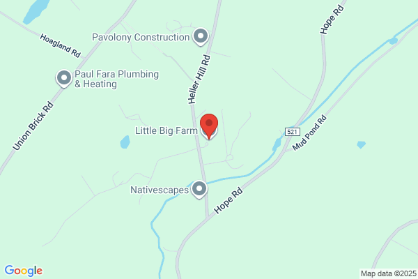 Little Pine Farm Llc