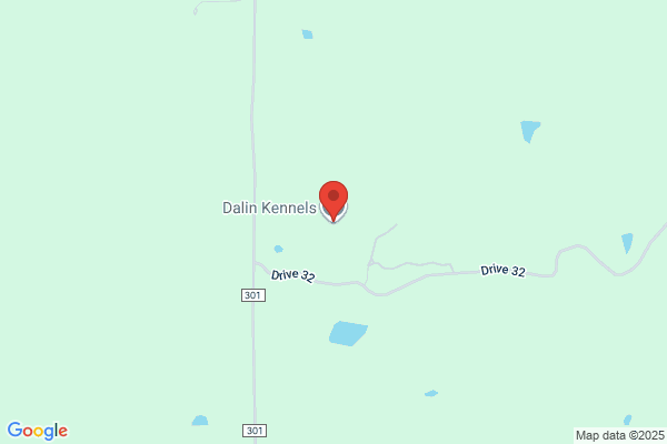 Daylyn Kennel