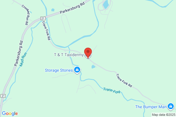 T & T Taxidermy