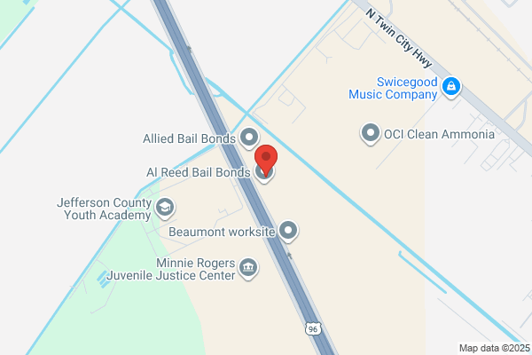 Professional Bail Bonds