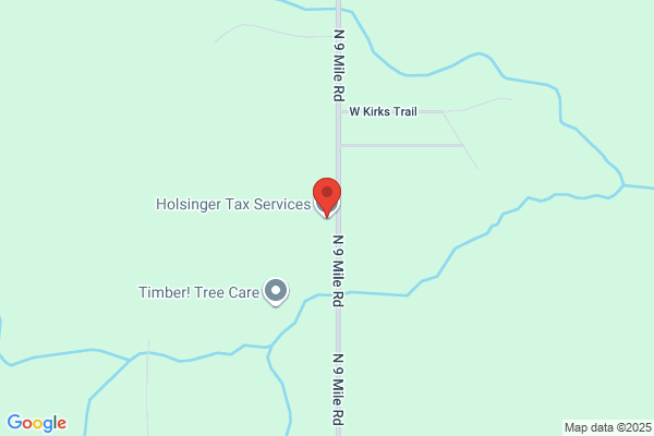 Holsinger Tax Service Llc