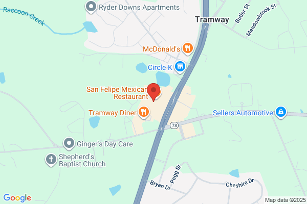 Advance Auto Parts