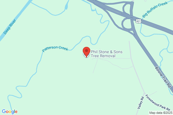 Phil Stone Tree Removal