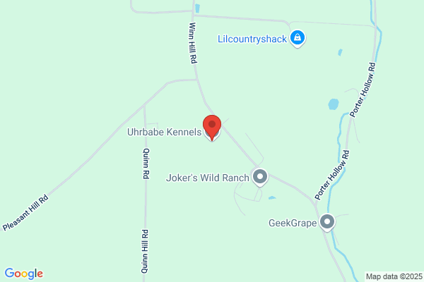 Uhrbabe Kennels
