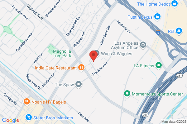 I Fiber Communications Inc