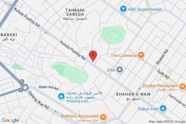 Afghani Steven Attorney