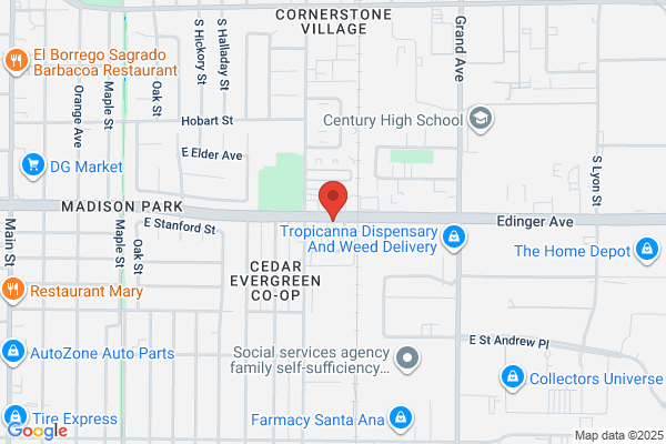 Santa Ana Pest Control Experts