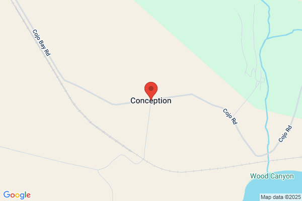 Conception Capital