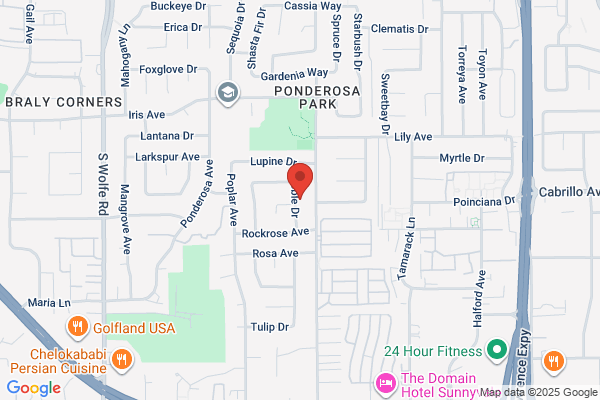 Joyland Bilingual Daycare