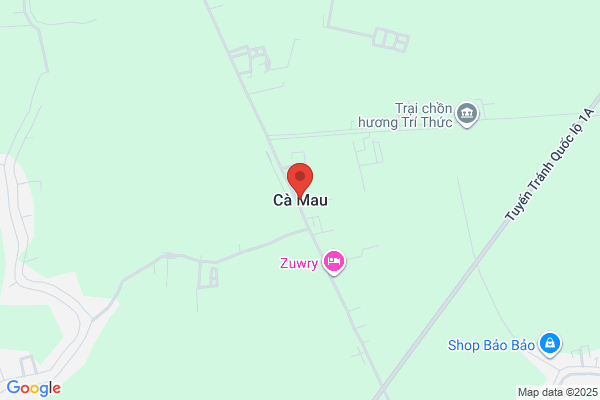 New Ca Mau