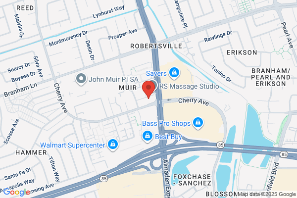 Silicon Valley Infotek Inc
