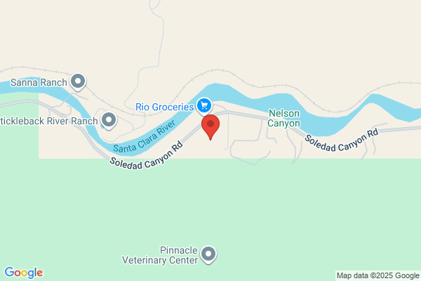 Dinnes Memorial Veterinary Hosptal
