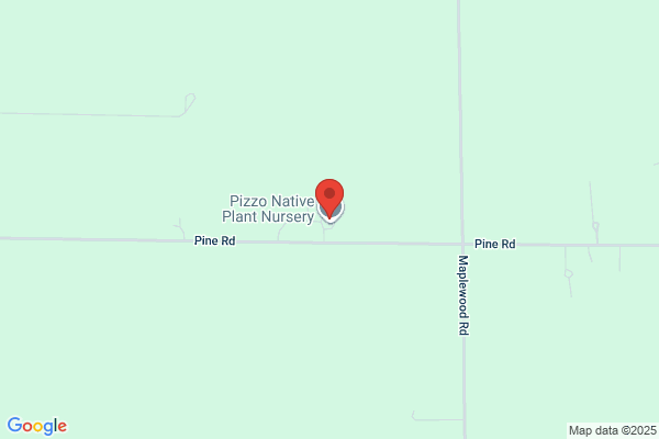 Angelo Pizzo & Associates Inc.