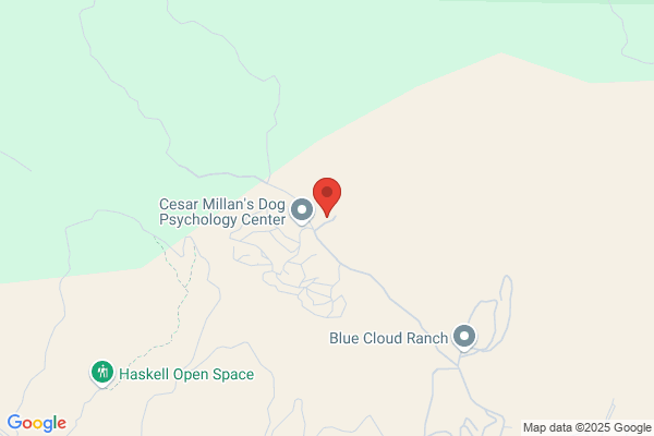 Canine Country Club