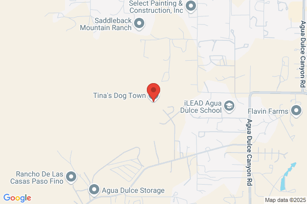 Tina's Dog Town