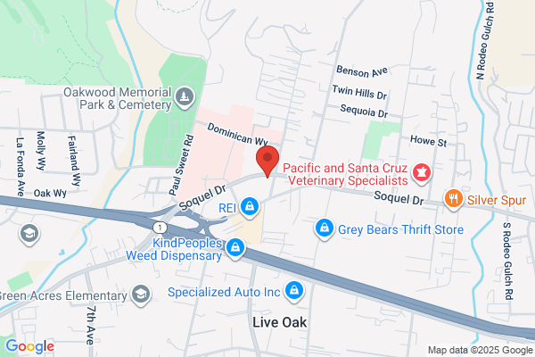 Santa Cruz Running Company
